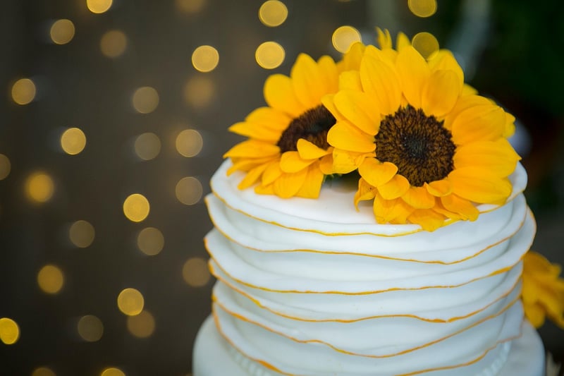 Constellation cake toppers