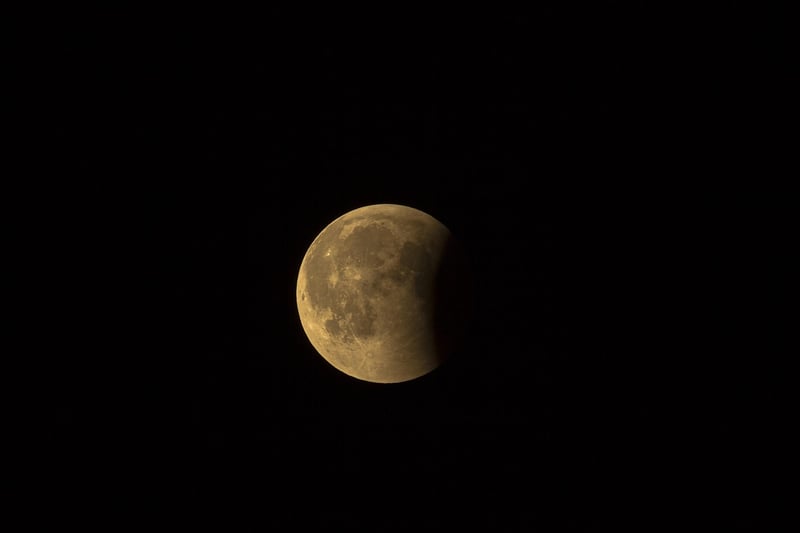 Moon phase treats