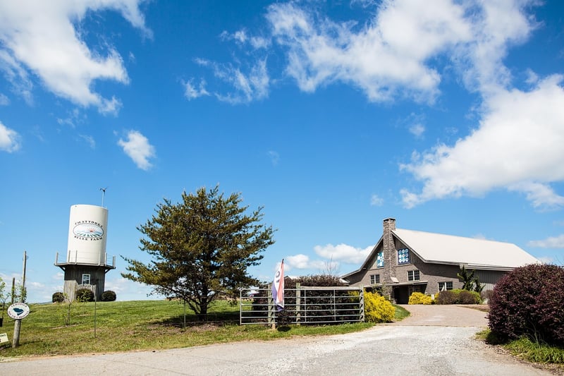 Starlit reception venues